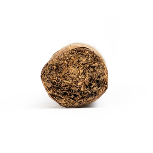 Casa Turrent 1973 Robusto Cigar - 1 Single
